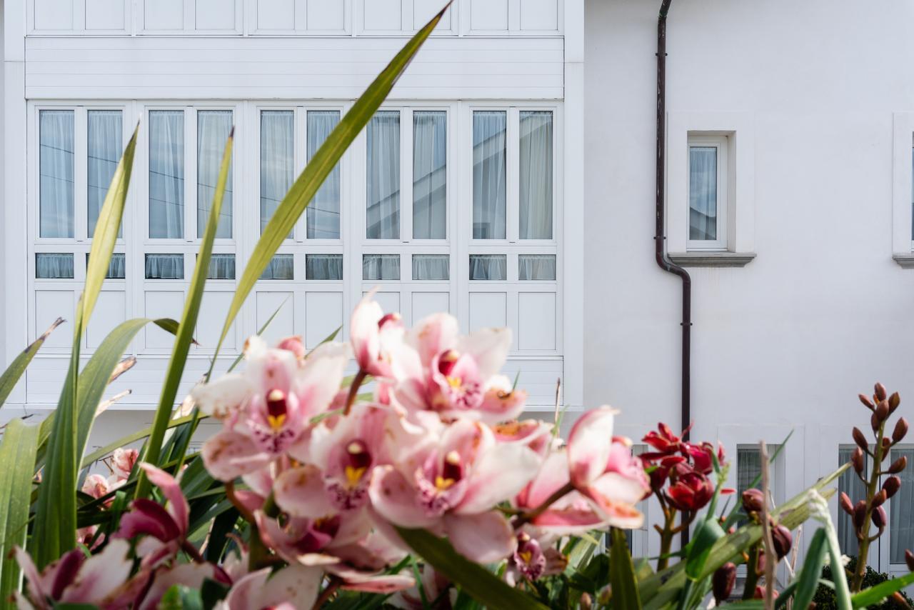 La Casa De Las Camelias Busto Bagian luar foto
